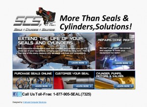 More Than Seals & Cylinders.................Solutions!